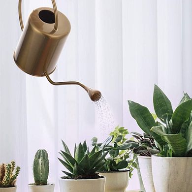 Long Spout Stainless Steel Watering Can