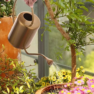 Long Spout Stainless Steel Watering Can