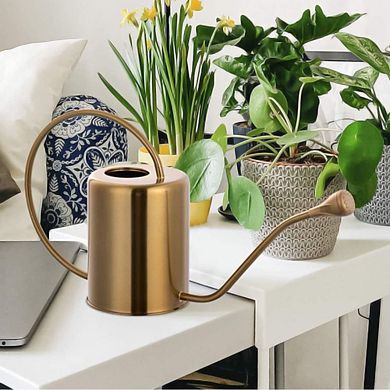 Long Spout Stainless Steel Watering Can