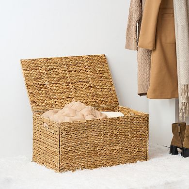 Judas Water Hyacinth Rectangular Brown Storage Trunk