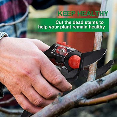 Sharp Stainless Steel Pruning Shears