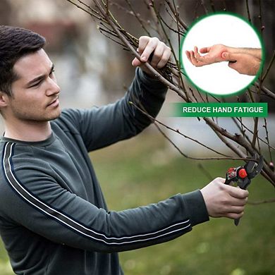 Sharp Stainless Steel Pruning Shears