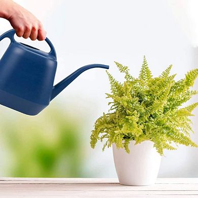 Blue Plastic Outdoor Watering Can