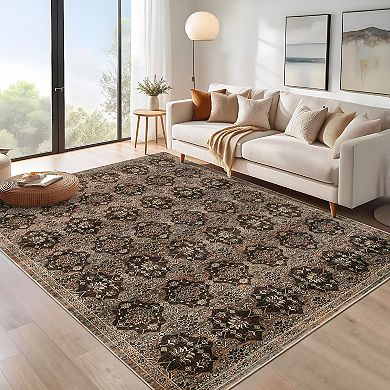 Traditional Area Rug for Living Room, Bedroom, Dining Room, and Kitchen