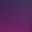 Navy Fuschia