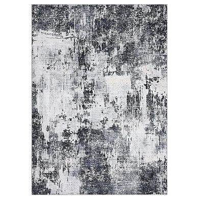 ANIXOL Washable Vintage Area Rug