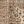 Beige Camel