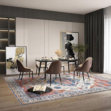 ANIXOL Machine Washable Low Pile Area Rug