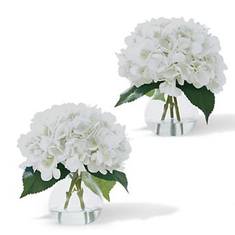 ANIXOL Hydrangea Flowers in Glass Vases 2-Pack