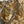 Brown Camo