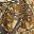 Brown Camo