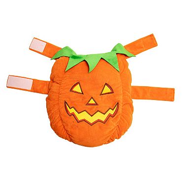 WOOF® 3D Pumpkin Pet Costume
