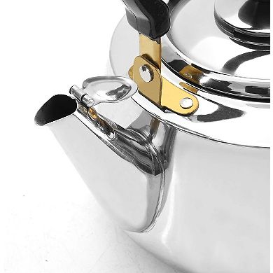 Tea Kettle With Strainer, Stainless Steel, 2.2 L