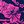 Navy And Pink
