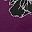 Deep Berry Metallic