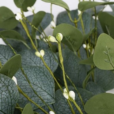 20" Eucalyptus Wreath for Front Door with Berries, Spring and Summer Greenery, Year-Round Farmhouse