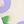 Light Purple Rose