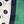 Navy Blue Green