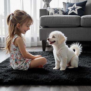 2x3 Black Shag Rug, Soft Fluffy Small Area Rug for Bedroom or Dorm