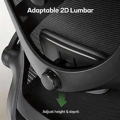 Adjustable Ergonomic Chair with Lumbar Support & 3D Armrests