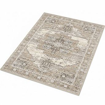 4x6 Non-Slip Area Rug, Washable Lightweight Carpet for Entryway and Home