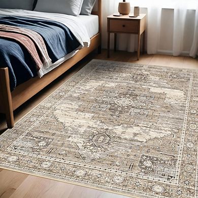 4x6 Non-Slip Area Rug, Washable Lightweight Carpet for Entryway and Home