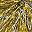 Gold Tone Silver Tone