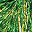 Green Gold Tone