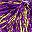 Purple Gold Tone