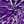 Purple Silver Tone
