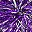 Purple Silver Tone