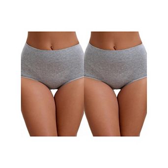 2 Packs Women's Leak Proof Briefs High Waist Elastic Waistband Full Coverage Tummy Control Underwear