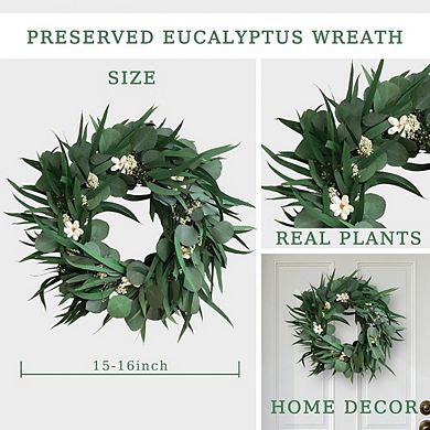 16 Inch Preserved Eucalyptus Wreath with Natural Dried Flowers for Home Decor
