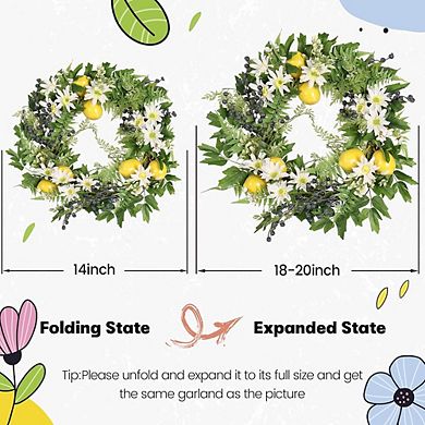 20" Floral Lemon Wreath with Eucalyptus and Daisy for Front Door, Window, & Wall
