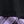 Black Purple