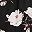 Black Flowers