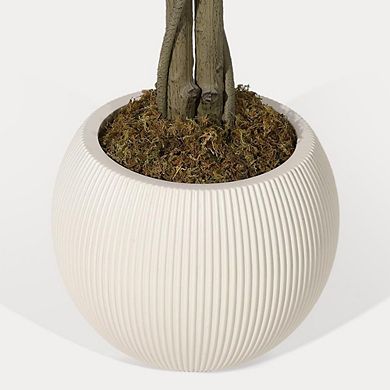 ANIXOL 6ft Pink Cherry Blossom Tree