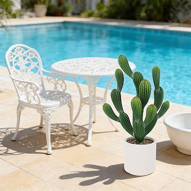 ANIXOL Artificial Potted Cactus Plant