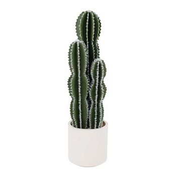 ANIXOL Tall Artificial Cactus with Planter