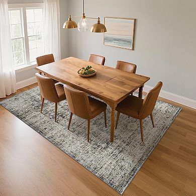 ANIXOL Vintage Washable Area Rug