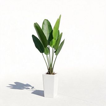 ANIXOL 5ft Artificial Dracaena Tree with Tall White Planter