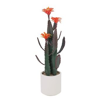 ANIXOL Artificial Cactus Potted Plant