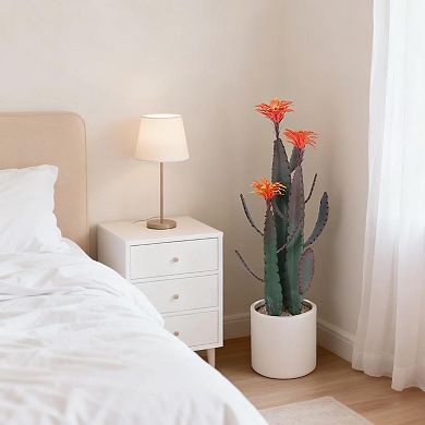 ANIXOL Artificial Cactus Potted Plant