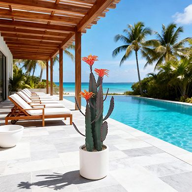 ANIXOL Artificial Cactus Potted Plant