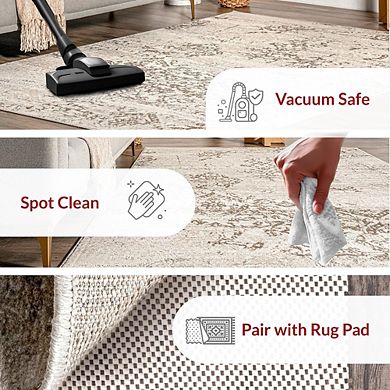 2x3 Distressed Floral Area Rug, Soft, Cozy, Durable, Stain-Resistant, Easy Care