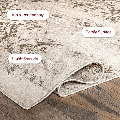 2x3 Distressed Floral Area Rug, Soft, Cozy, Durable, Stain-Resistant, Easy Care