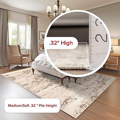 2x3 Distressed Floral Area Rug, Soft, Cozy, Durable, Stain-Resistant, Easy Care
