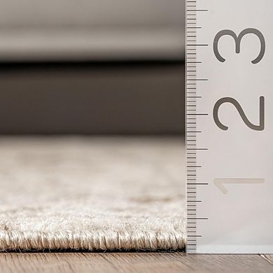 2x3 Distressed Floral Area Rug, Soft, Cozy, Durable, Stain-Resistant, Easy Care