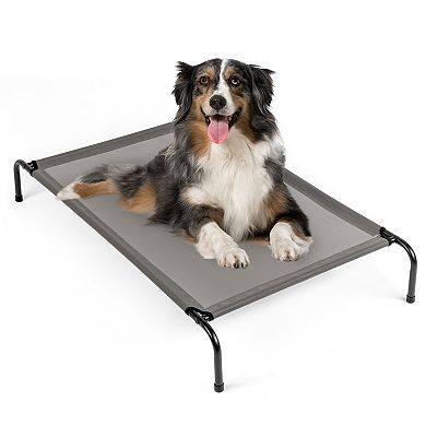 Everyday Elevated Dog Bed