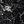 Black Stippled Floral